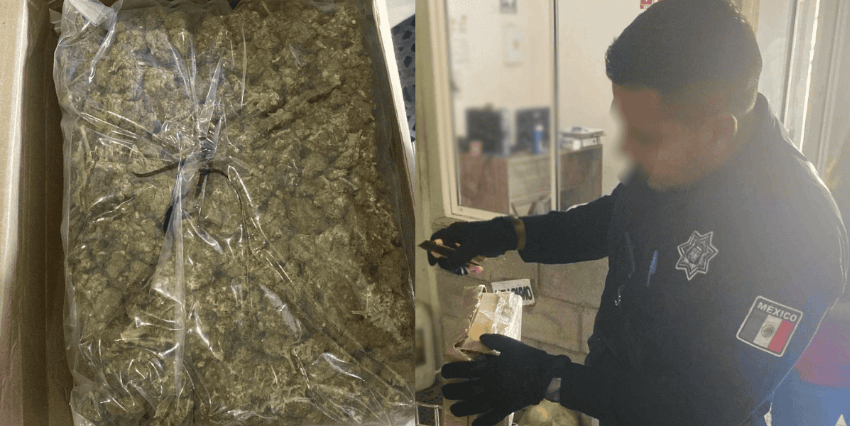 Hallan paquetes de mariguana en paquetería de Ciudad Obregón