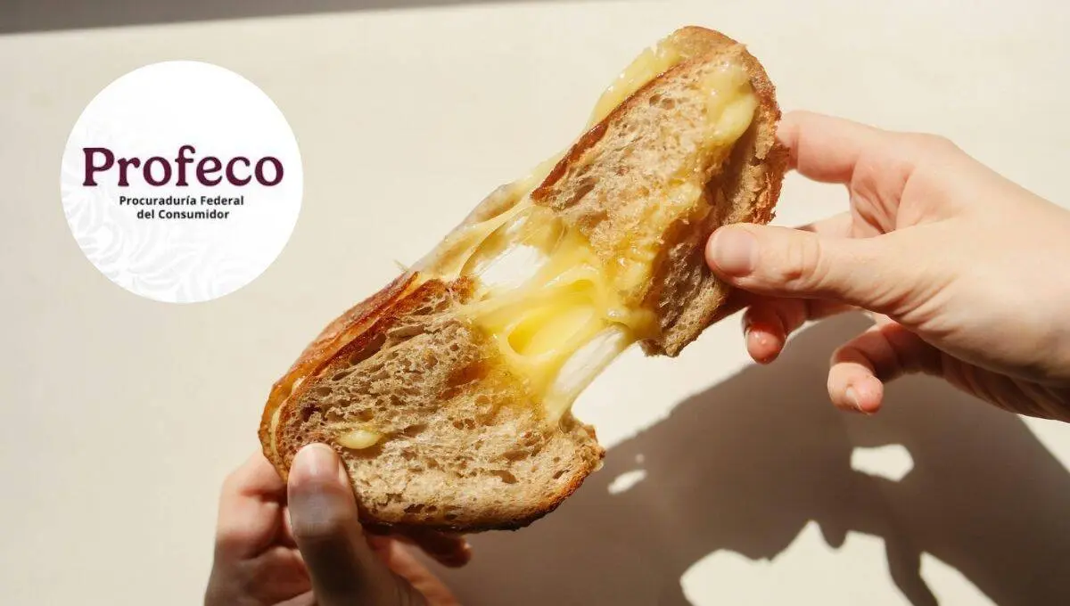 Estos productos contienen queso de verdad entre sus ingredientes / Pexels