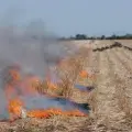 Exigen mano dura contra quema de gavilla en el sur de Sonora