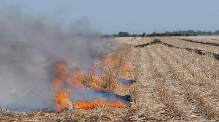 Exigen mano dura contra quema de gavilla en el sur de Sonora
