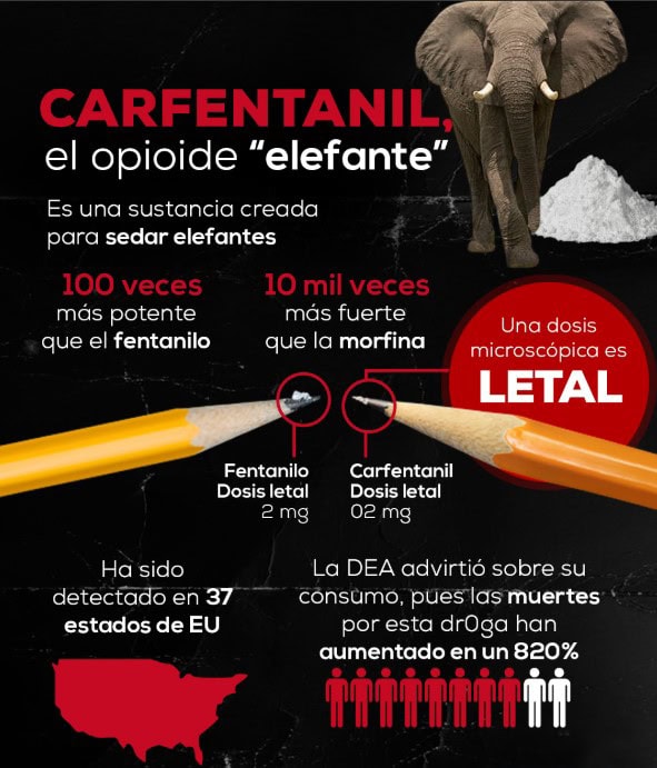 imagen-cuerpo imagen-cuerpo