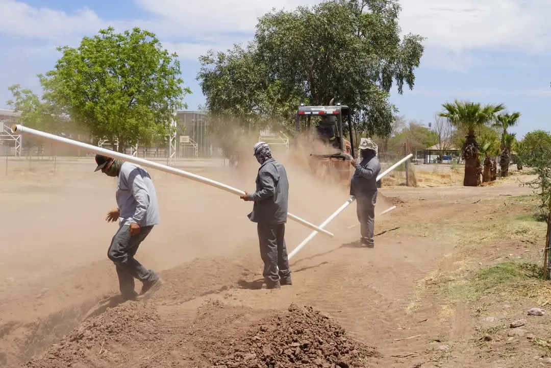 Avanza proyecto de Bosque Urbano en Navojoa
