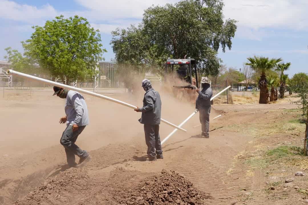 Avanza proyecto de Bosque Urbano en Navojoa