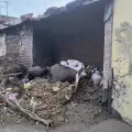 Vecinos de la colonia Cortinas de Cajeme reportan vivienda en abandono