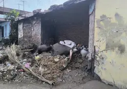 Vecinos de la colonia Cortinas reportan vivienda en abandono