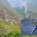 ¿Quién es Chrisbiker, el influencer que fue denunciado por colgarse de un árbol en el Cañón del Sumidero?