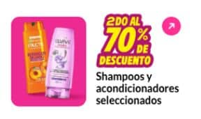 imagen-cuerpo imagen-cuerpo