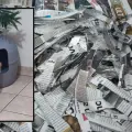 Así puedes hacer arena para gatos económica y ecológica con periódicos reciclados