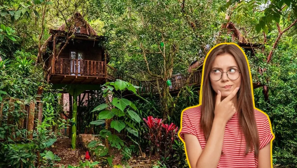 Este Pueblo Mágico permite dormir en una casita del árbol. Foto: Original