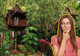 Este Pueblo Mágico permite dormir en una casita del árbol; ¿dónde es y cómo llegar?