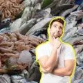¿Es cierto que no se debe comer mariscos en meses sin "R"? esto dice un experto