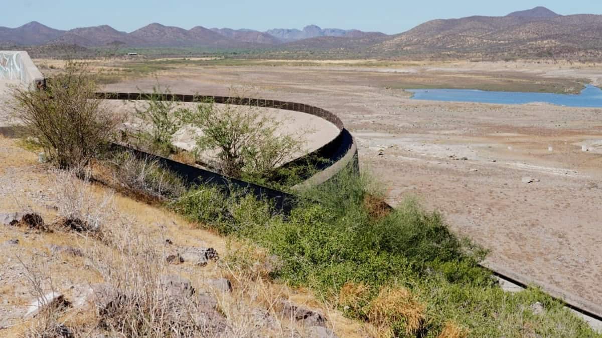 Impacta sequía la economía: Pablos