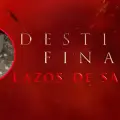 VIDEO | "Destino Final": les cae el techo del cine durante la proyección de la película
