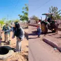 Reforestan los alrededores del panteón de Pueblo Yaqui