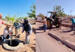Reforestan los alrededores del panteón de Pueblo Yaqui