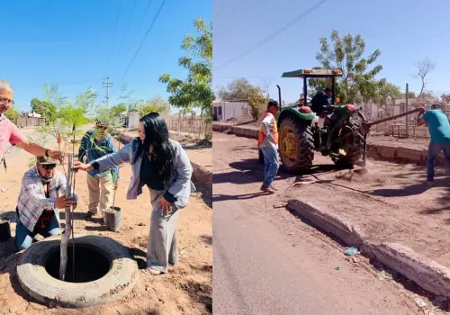 Reforestan los alrededores del panteón de Pueblo Yaqui