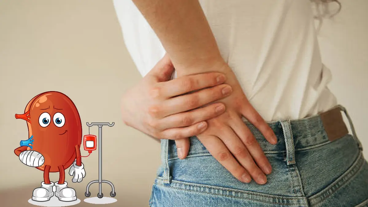 Trucos para limpiar los riñones, según expertos