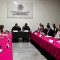 Verifica INE seguridad en boletas electorales