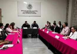 Verifica INE seguridad en boletas electorales