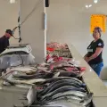 Se escasea el pescado en Cajeme