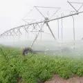 Tecnificación de riegos, alternativa ante la sequía