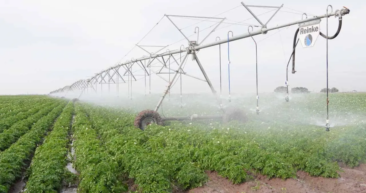 Tecnificación de riegos, alternativa ante la sequía