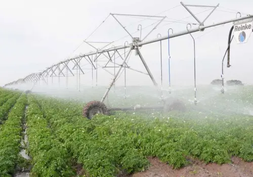 Tecnificación de riegos, alternativa ante la sequía