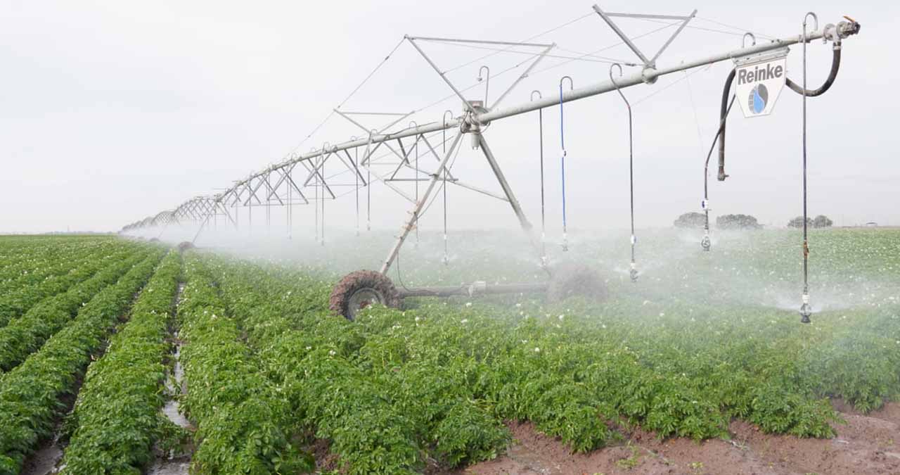 Tecnificación de riegos, alternativa ante la sequía