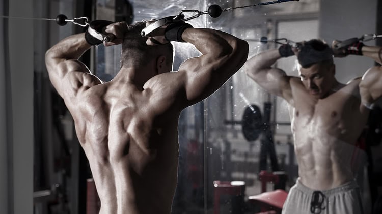 imagen-cuerpo