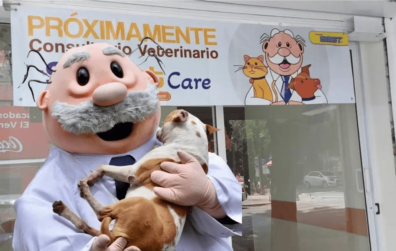 El proyecto espera brindar atención de calidad a mascotas.