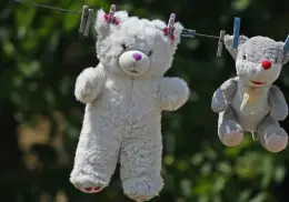 Ésta es la forma correcta de lavar tus peluches para evitar enfermedades ¿Cada cuánto hacerlo?