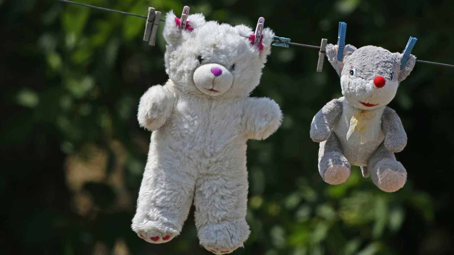 Ésta es la forma correcta de lavar tus peluches para evitar enfermedades ¿Cada cuánto hacerlo?