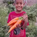 Extenderán huertos orgánicos en el pueblo de Cócorit 