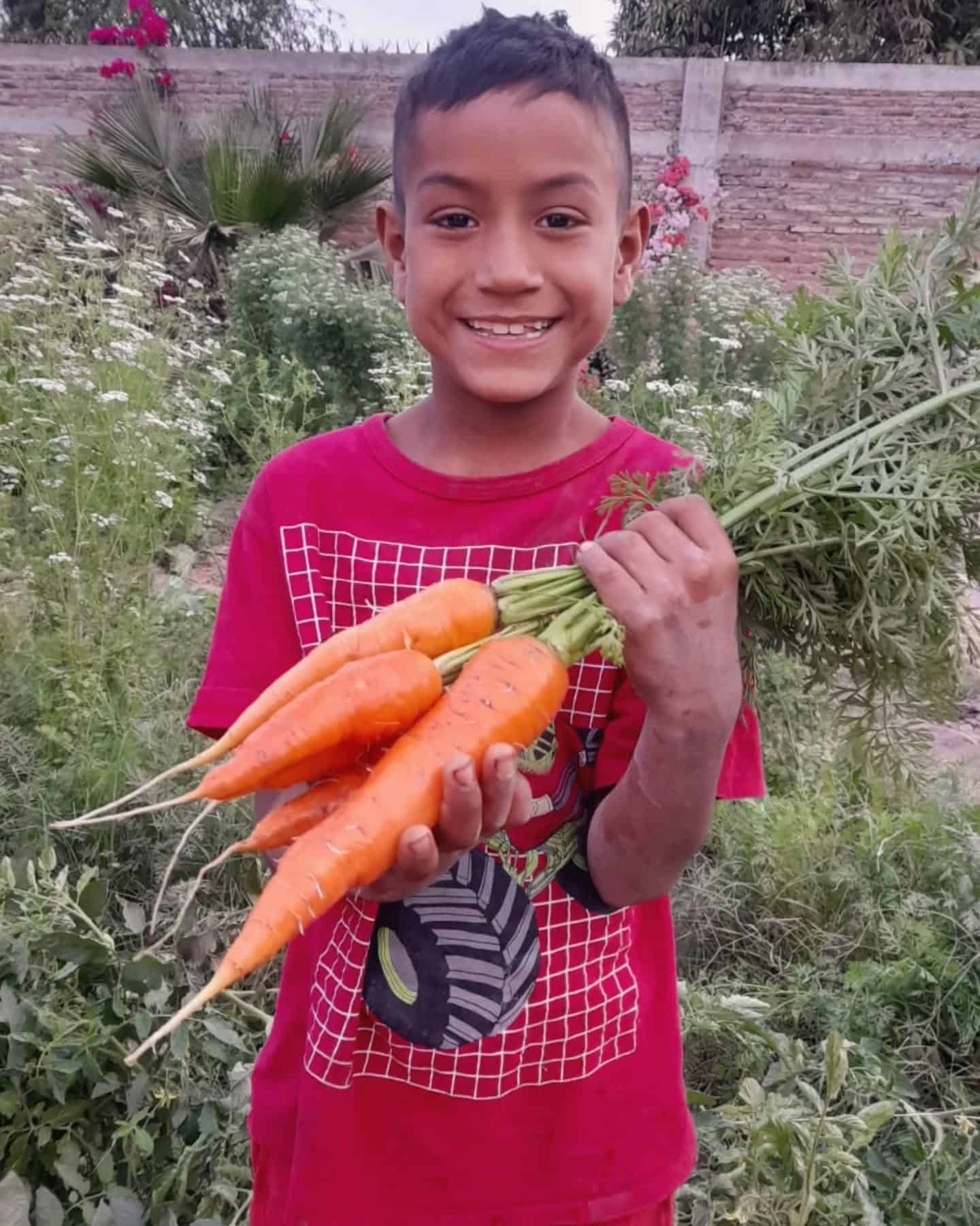 Extenderán huertos orgánicos en el pueblo de Cócorit 