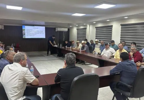 Quieren optimizar el riego agrícola