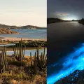 Playa de Tastiota: Paraíso sonorense donde la playa brilla de noche y los vestigios del pasado renacen
