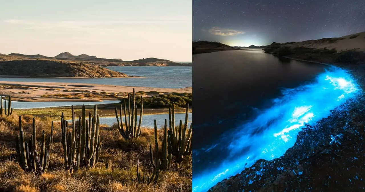 Tastiota, el paraíso sonorense donde las noches brillan. Fotos: Expedición América/ Facebook Tastiota