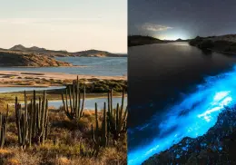 Playa de Tastiota: Paraíso sonorense donde la playa brilla de noche y los vestigios del pasado renacen