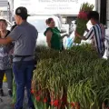 Día del Padre: Habrá flores en el Mercadito Unión de Cajeme