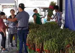 Día del Padre: Habrá flores en el Mercadito Unión de Cajeme