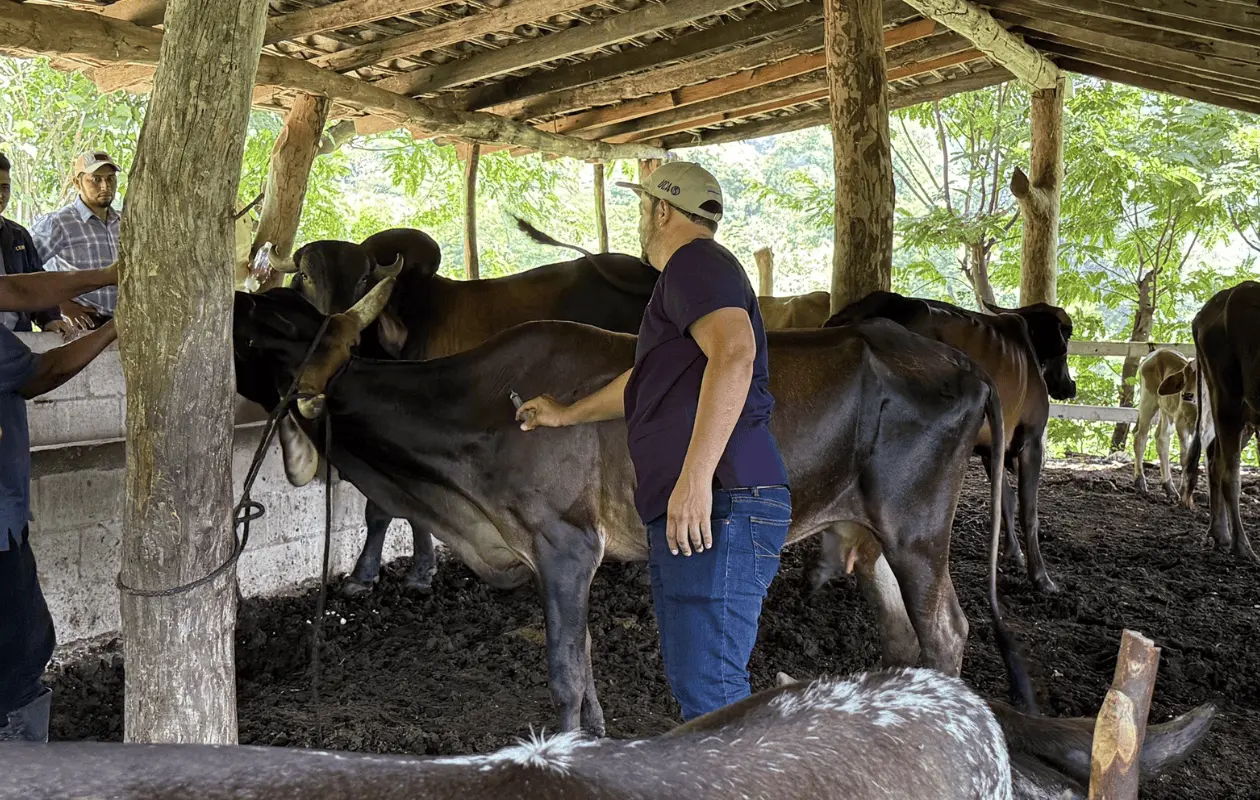 El gobierno de México enfatizó la importancia de contar con un acuerdo integral sobre las medidas sanitarias.
