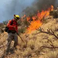 Protección civil ha combatido casi 30 incendios