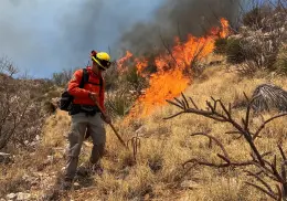 Protección civil ha combatido casi 30 incendios