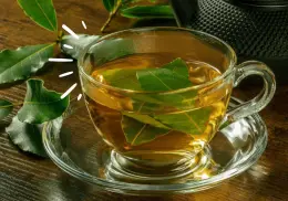 ¿Cuáles son los beneficios del té de laurel y en qué momento del día conviene consumirlo?
