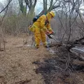 Incrementan incendios forestales en Navojoa