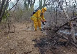 Incrementan incendios forestales en Navojoa