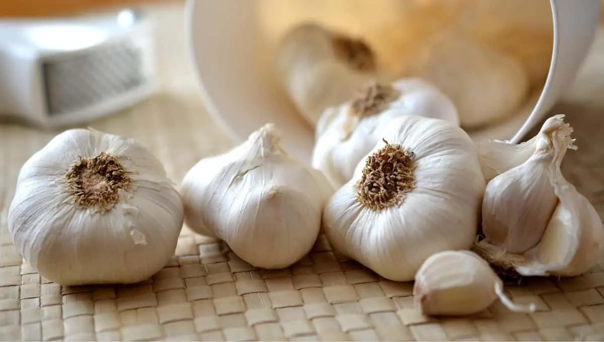 Aprovecha este ingrediente para cuidar tu salud / Pixabay