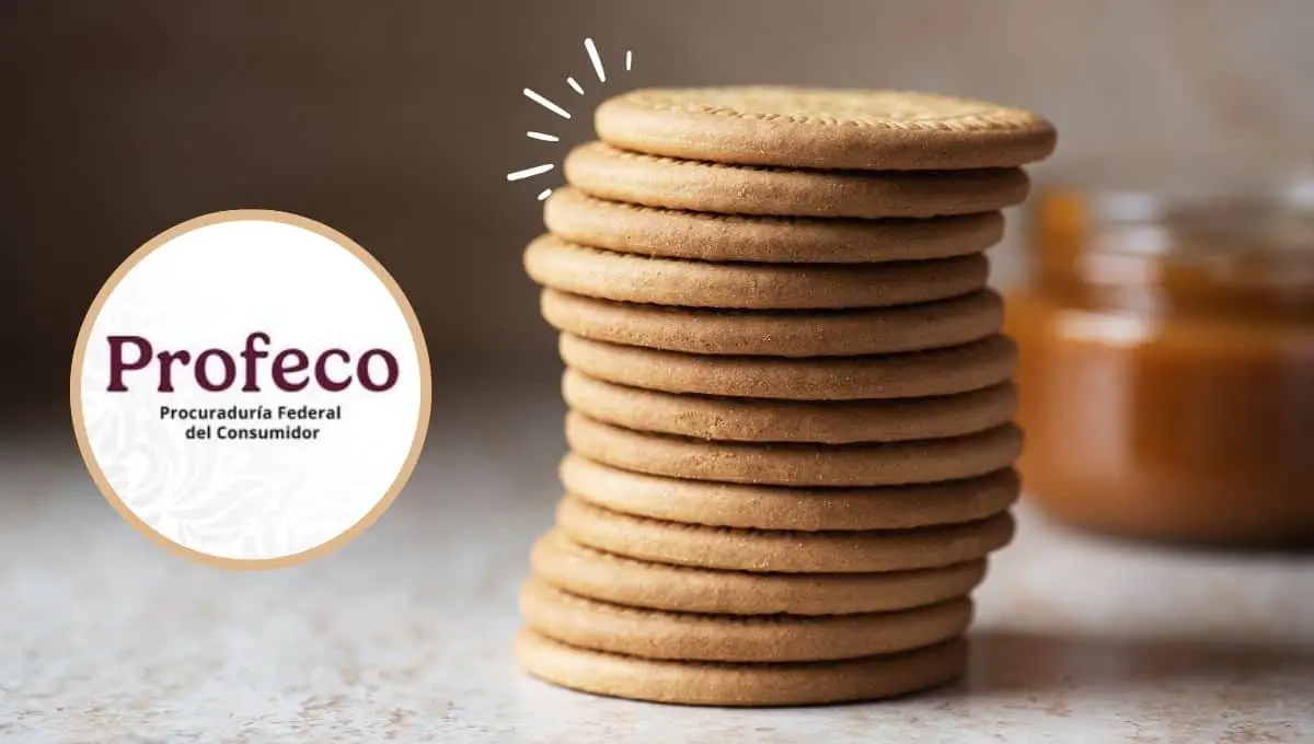 Descubre las galletas María que contienen menos grasa / Canva