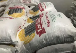 Busca UCAC ampliar mercado para harina