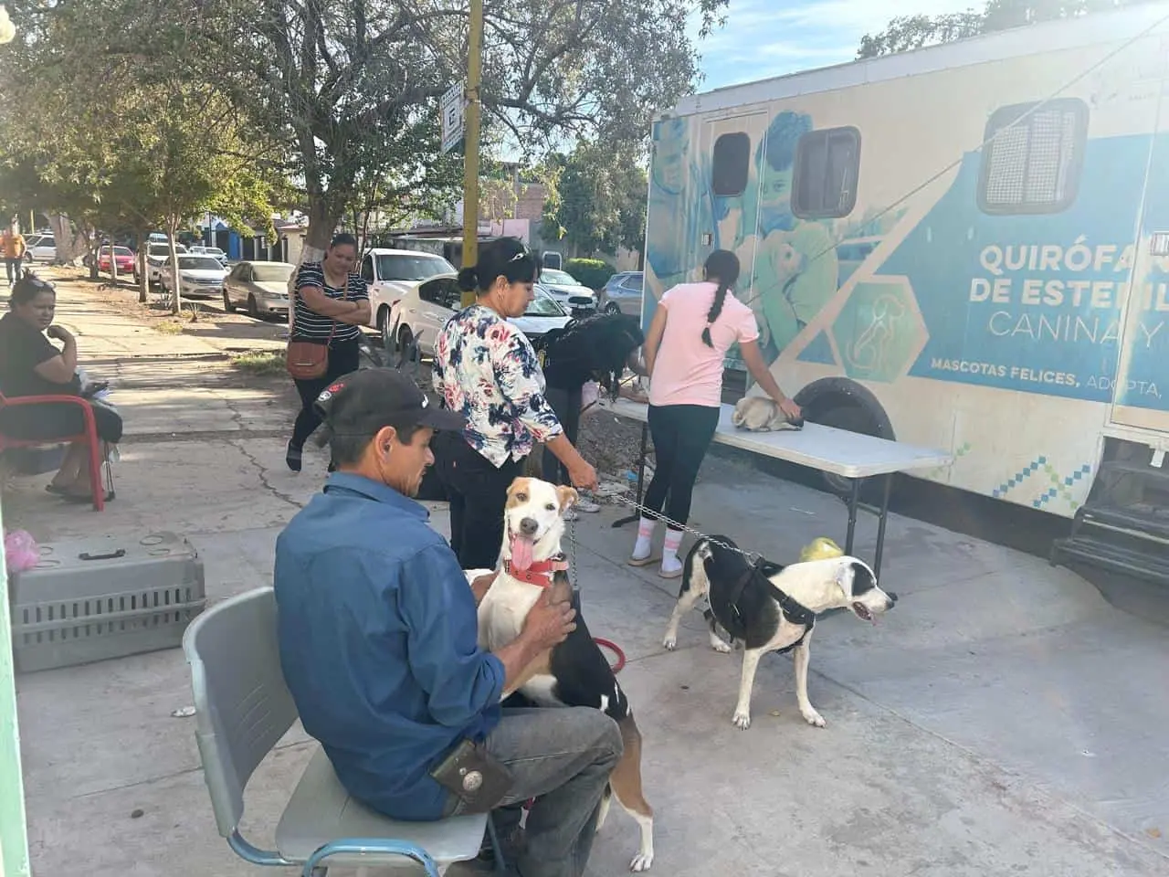 Distrito de Salud 04 invita a la esterilización de mascotas en Cajeme